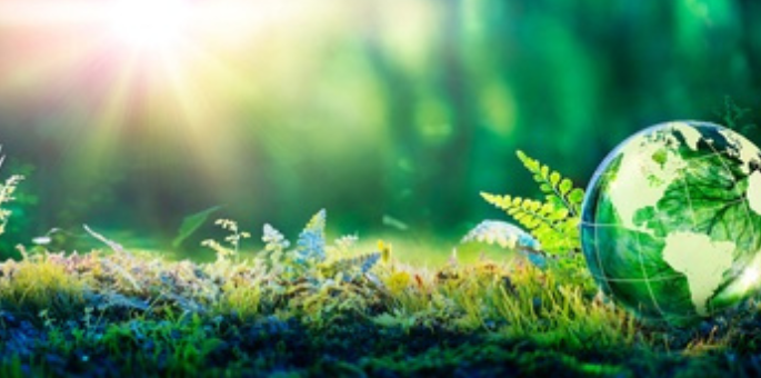 green bonds